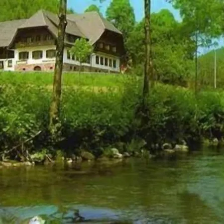 Pensionat Restaurant Ochsenwirtshof Bad Rippoldsau-Schapbach